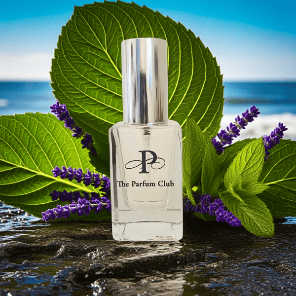 No. 206N - Mint, Lavender, Sea Air (masculine) - The Parfum Club - Perfume